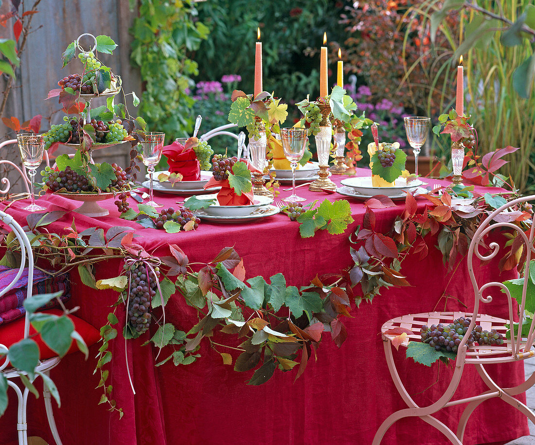 Autumn, table decoration, grapes, wine grapes
