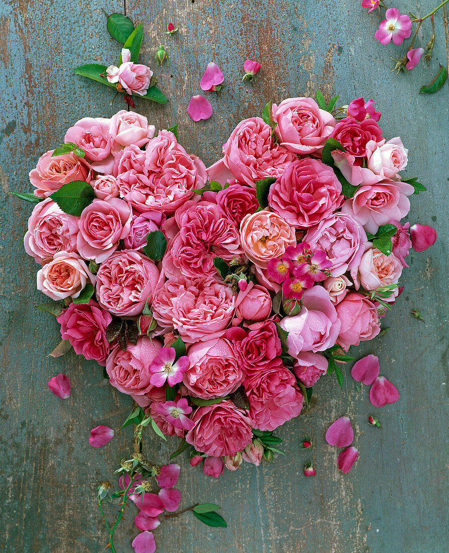 Herz aus Rosa (rosa Rosen) auf Holz