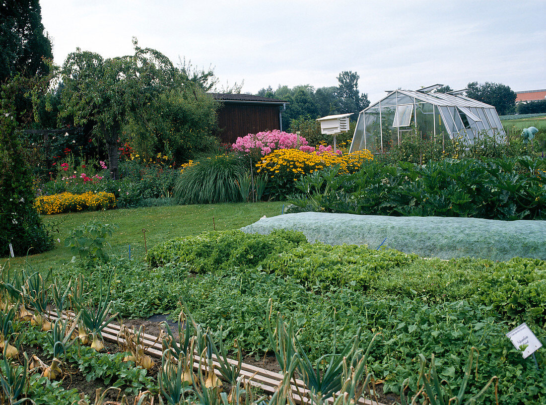 Garten mit Gemüsebeeten, Blumenbeeten und Gewächshaus