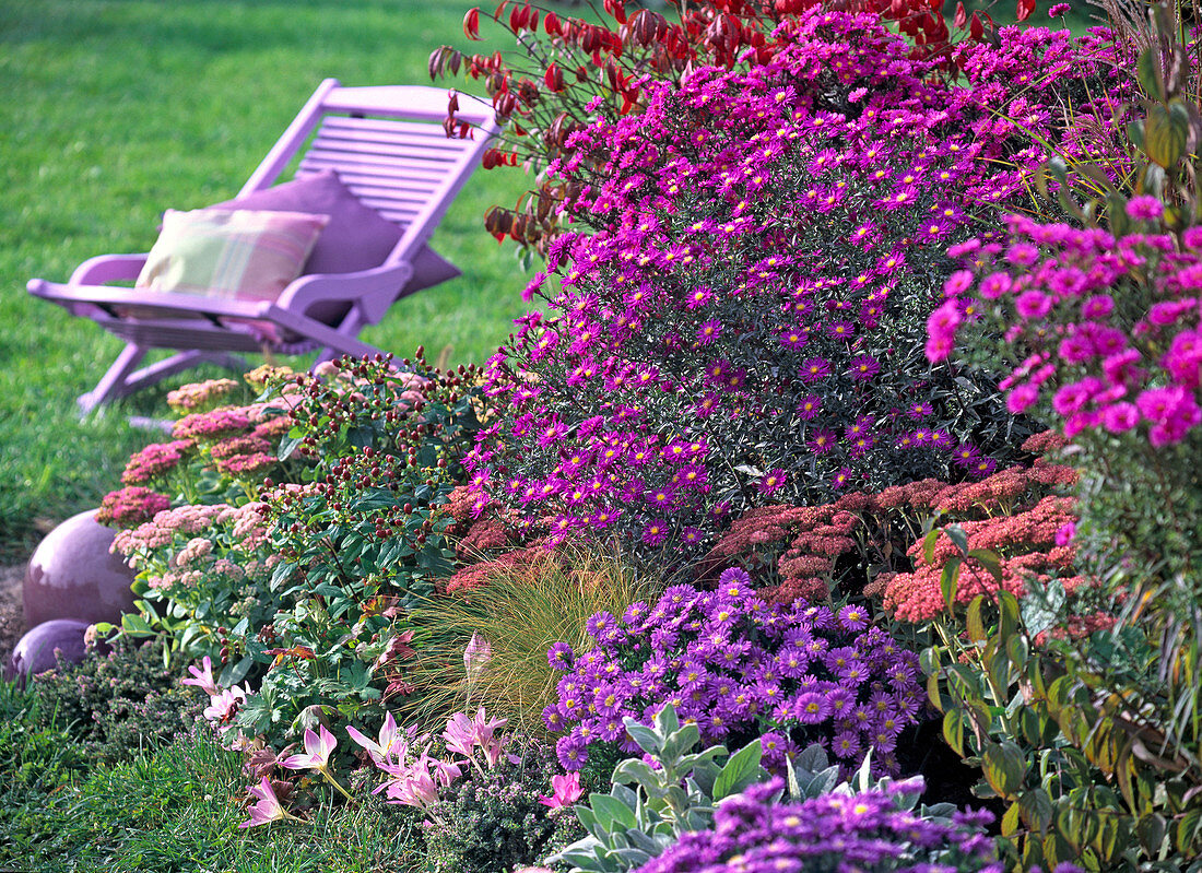 Autumn, garden, perennials, seat