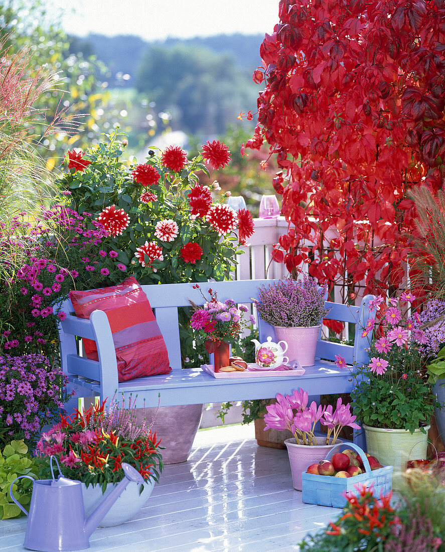 Autumnal balcony in light blue and red