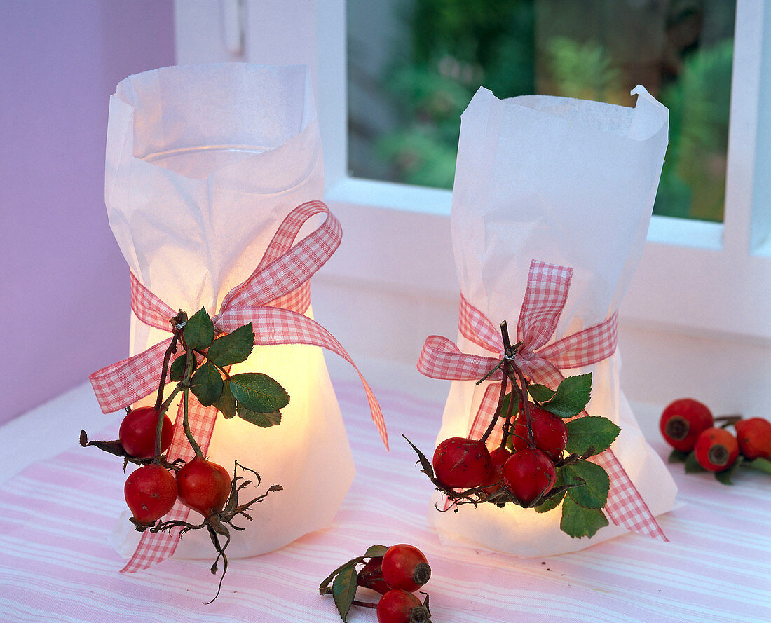 Rose on lanterns in sandwich bags on the windowsill