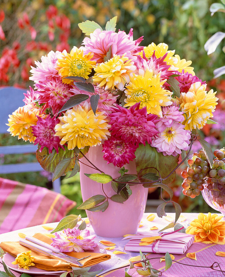 Bouquet of yellow, red and pink Dahlia, Clematis tendrils