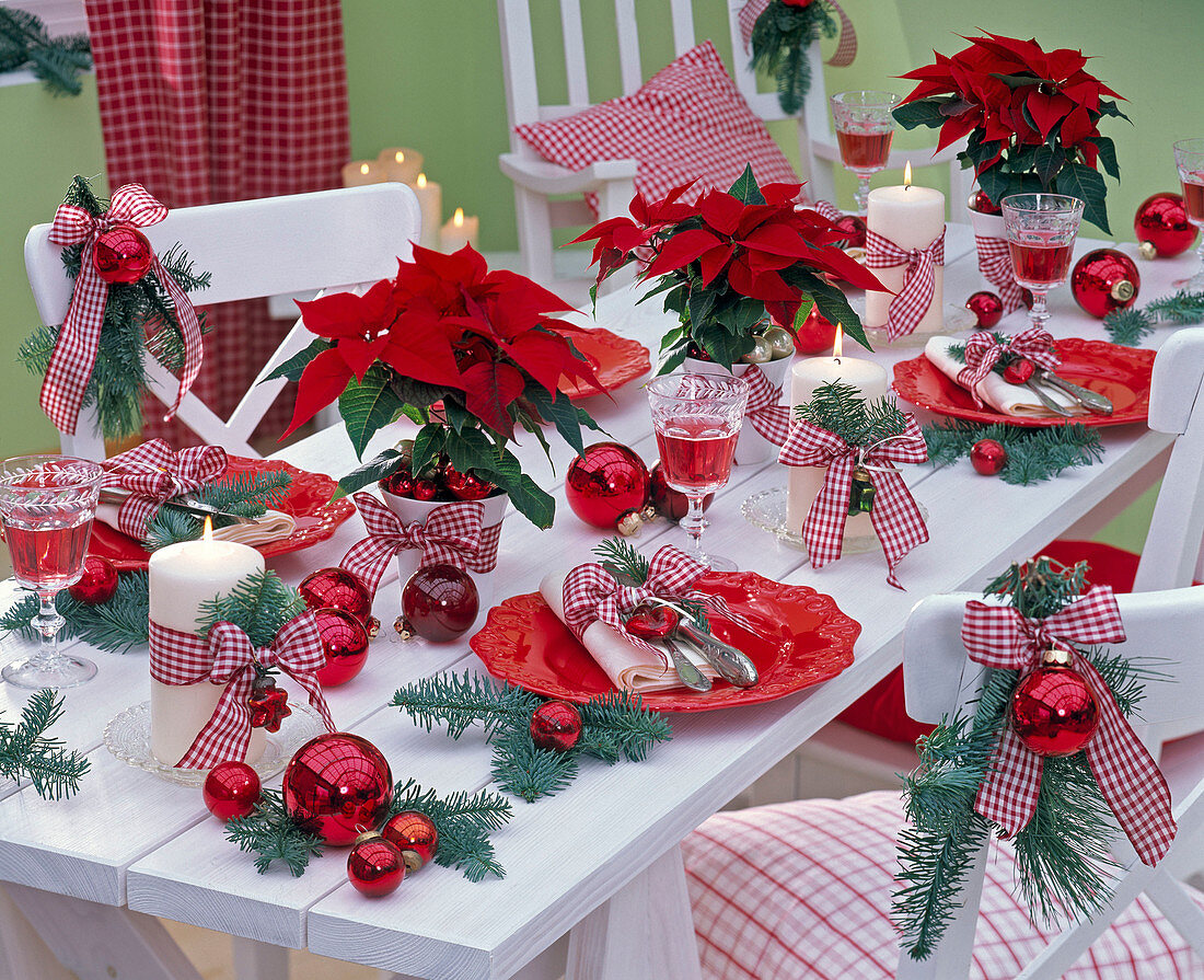 Tischdekoration in rot-weiß mit Abies (Tanne), Euphorbia (Weihnachtssternen)