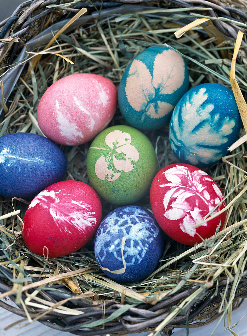 Eggs color with leaves pattern