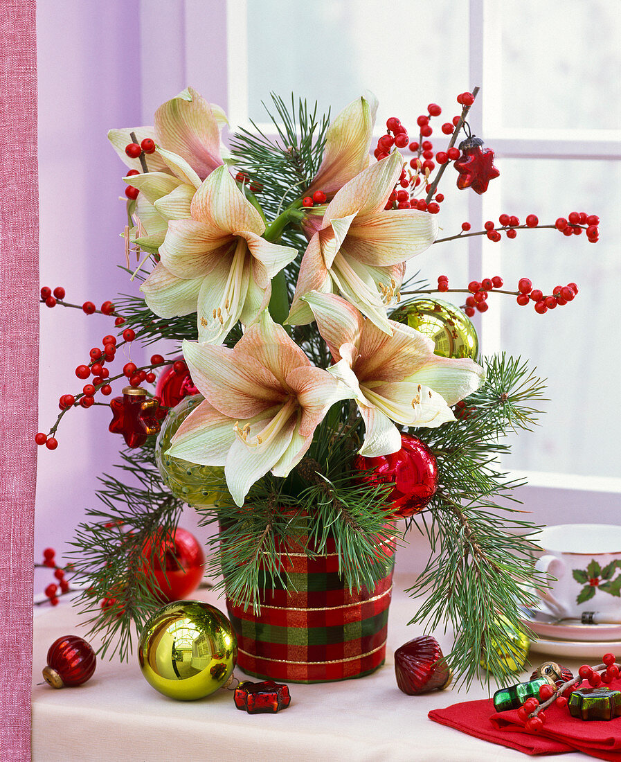 Hippeastrum bouquet, Ilex verticillata