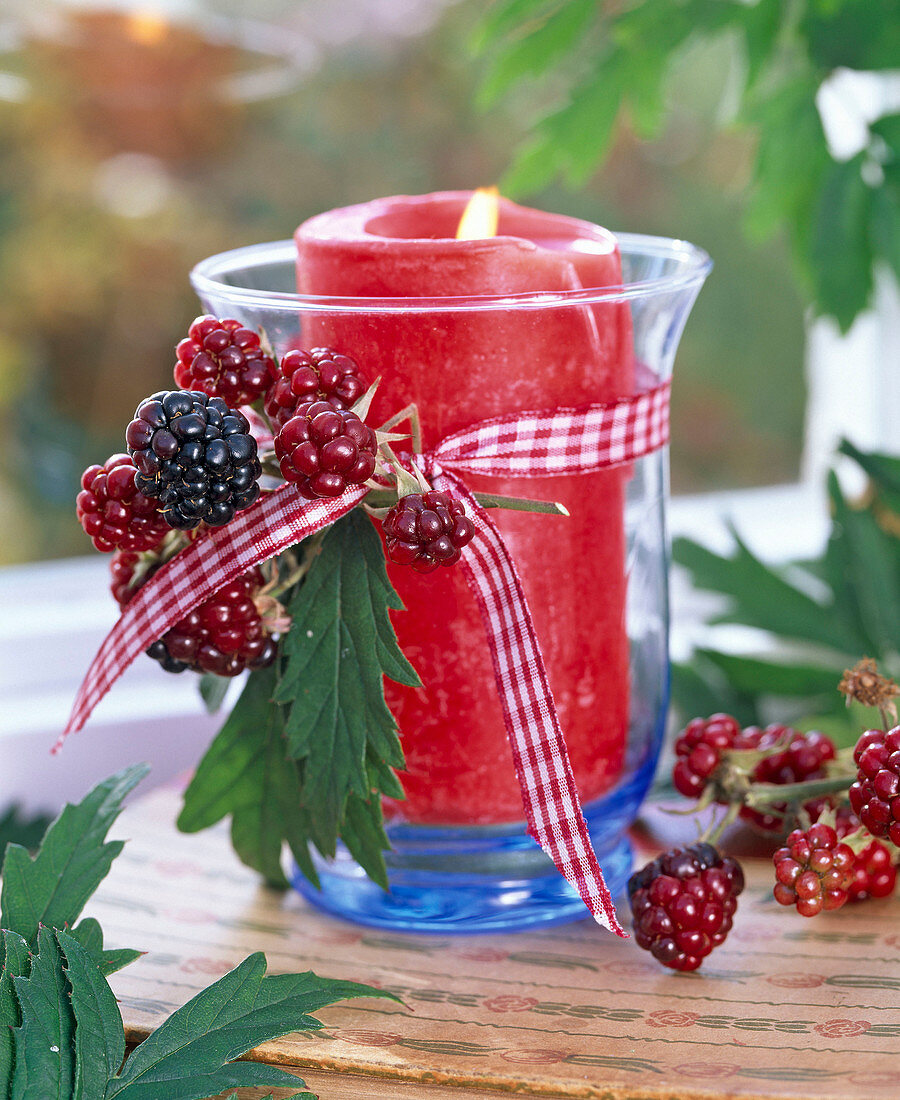 Rubus (Brombeeren) an Windlicht mit roter Kerze