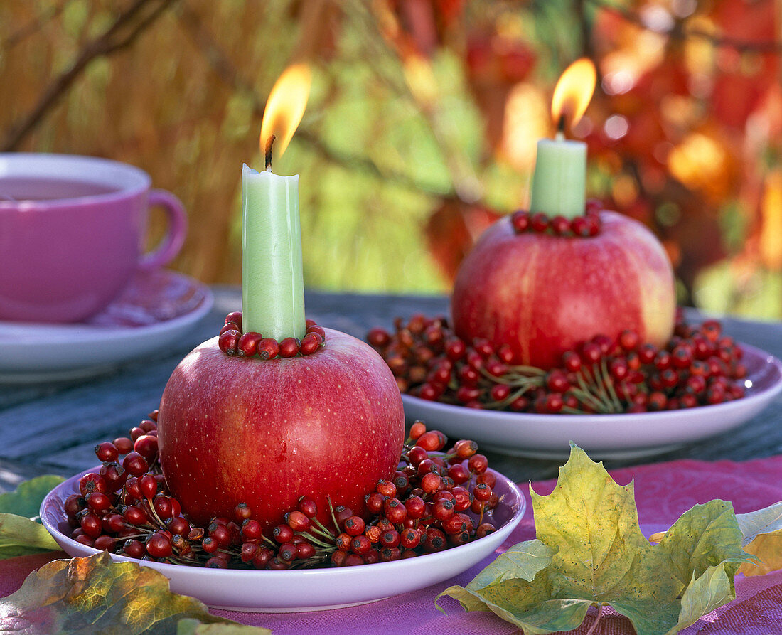 Kränze aus Rosa (Hagebutten) um Malus (Apfel) als Kerzenhalter, Herbstlaub