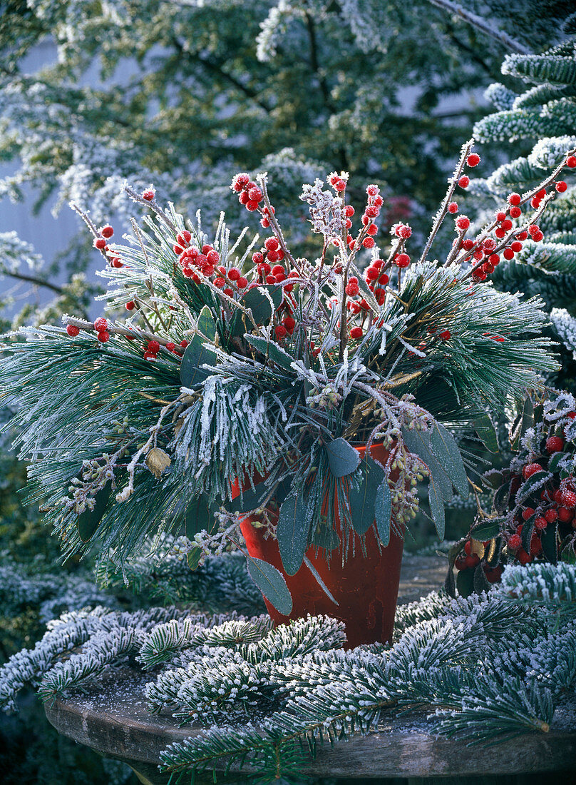 Bouquet of Pinus, Cotoneaster, Eucalyptus, Rosa