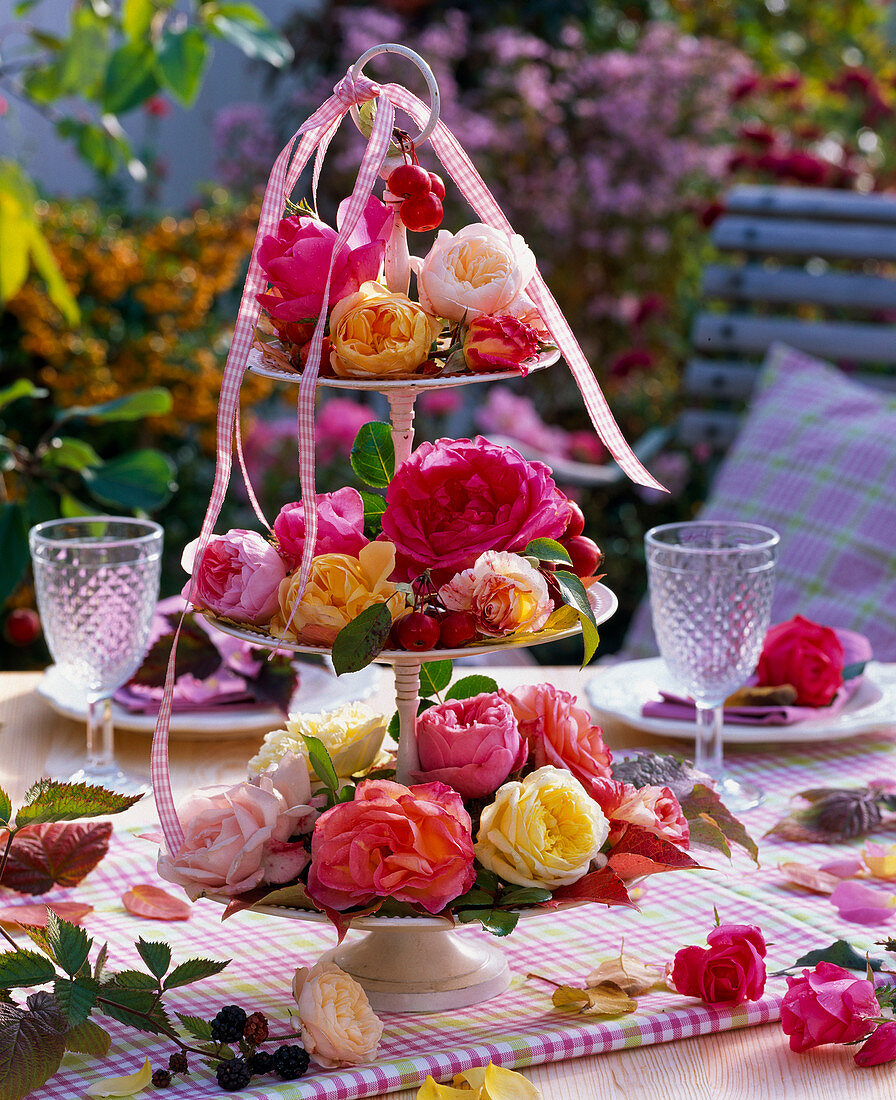 Various flowers of pink (rose) on shelves