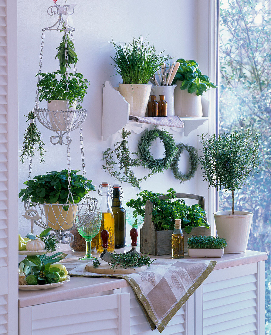 Kitchen with herbs on wall shelf, in a hanging basket and on a sideboard