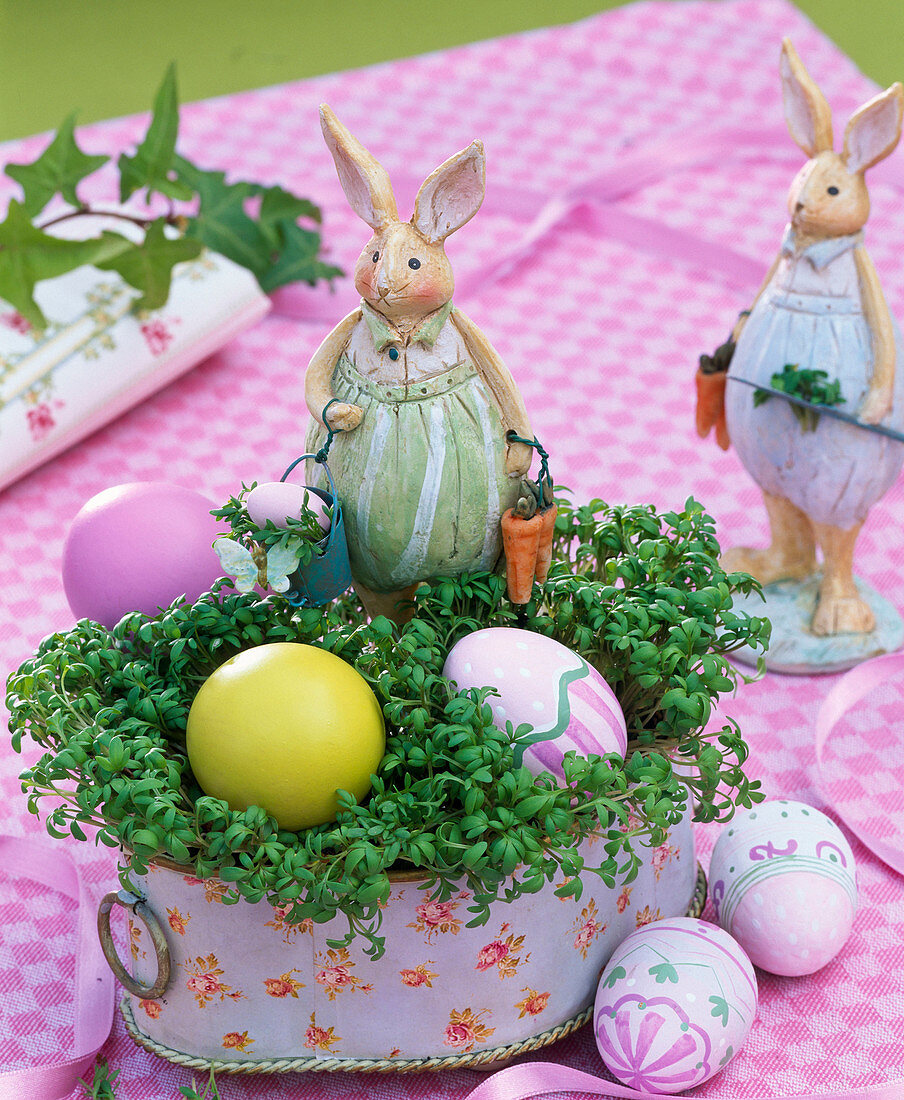 Lepidium (cress) as easter nest with easter bunny