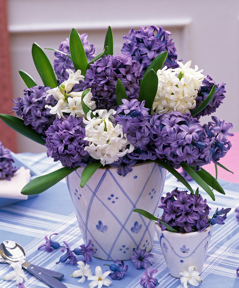 Strauß aus Hyacinthus (Hyazinthen) in blau-weißem Übertopf, Blüten, Besteck