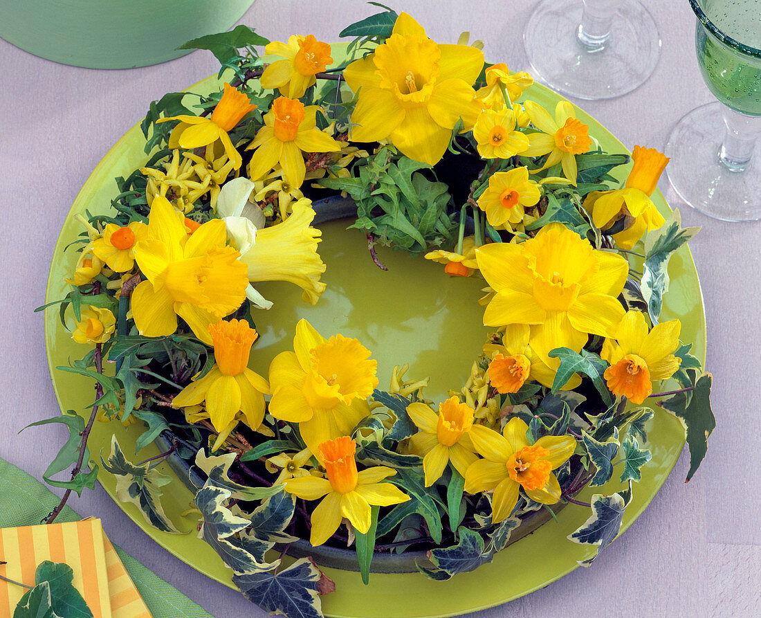 Narcissus, Hedera and Forsythia wreath