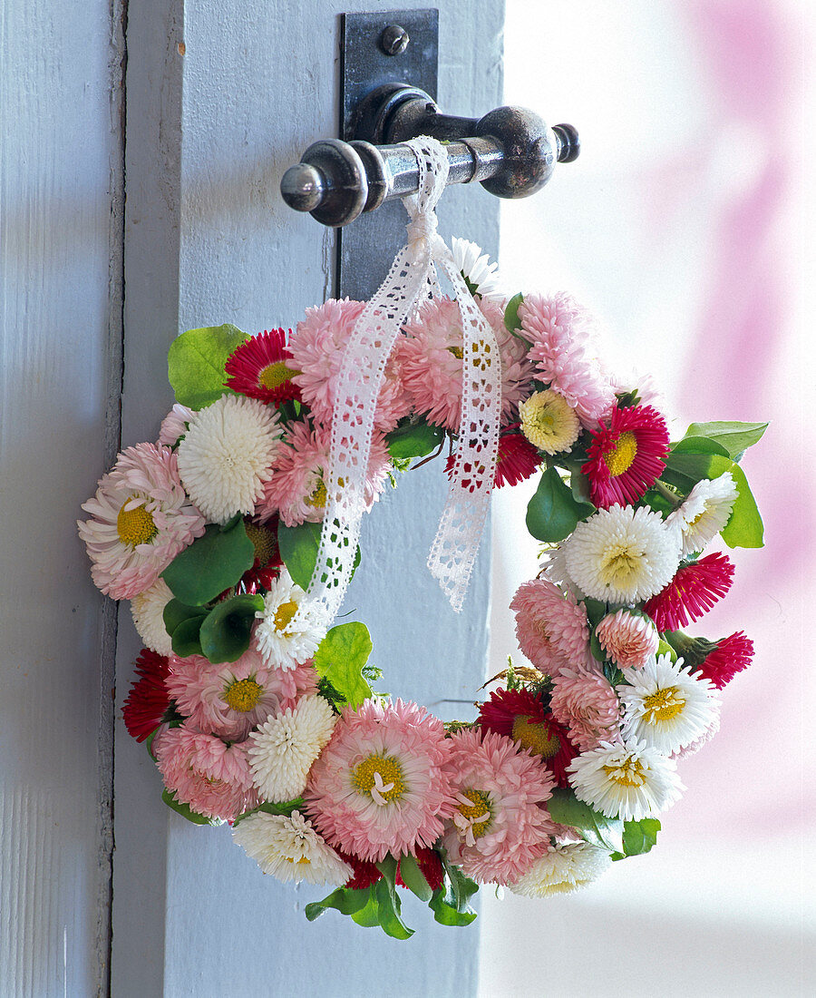 Bellis (daisies) wreath on doorknob