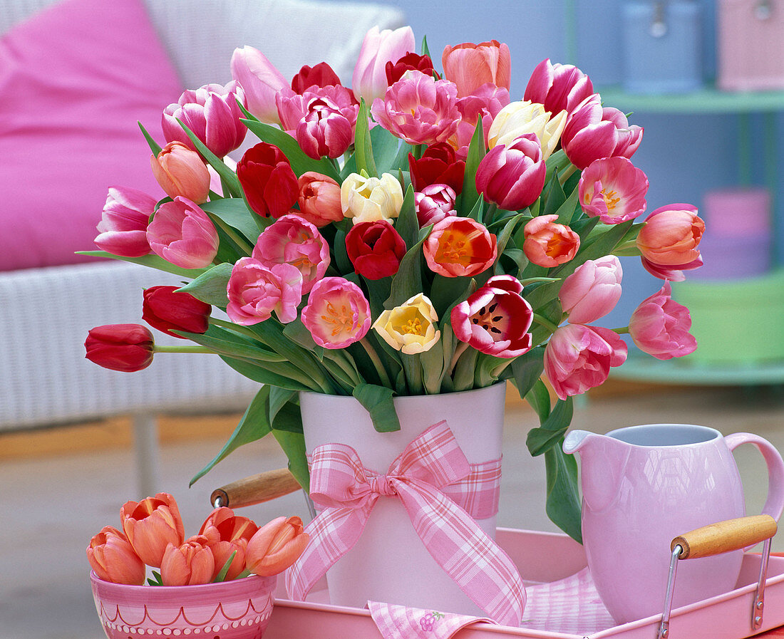 Strauß aus Tulipa (Tulpen) in weißer Vase mit Schleife, Kanne, Tablett