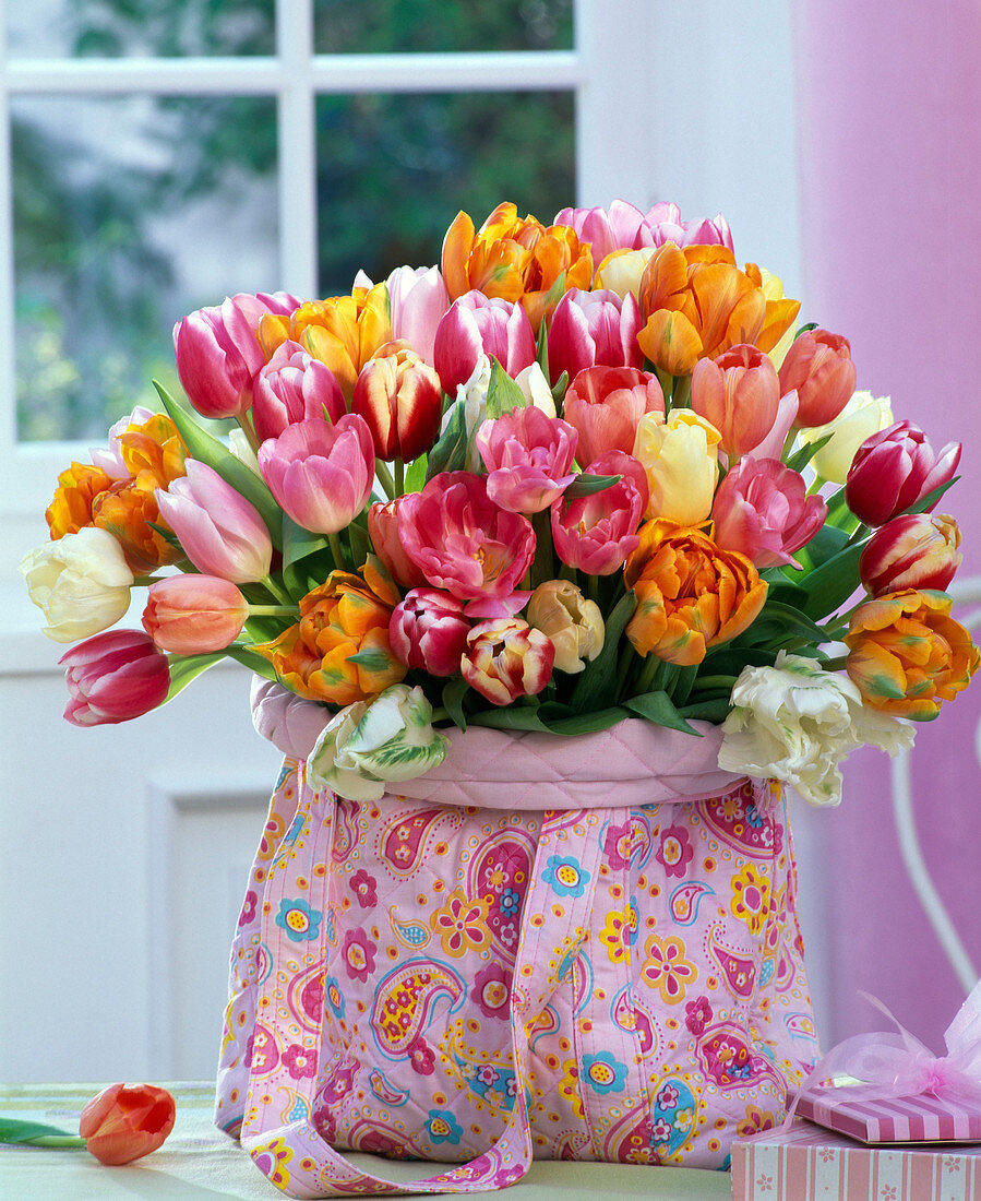 Tulipa (tulip) bouquet in patterned bag, boxes