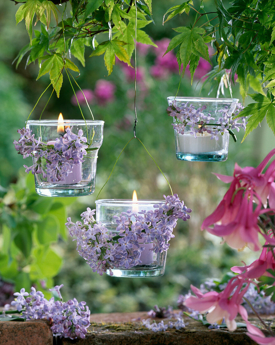 Hanging lanterns decorated with syringa (lilac)