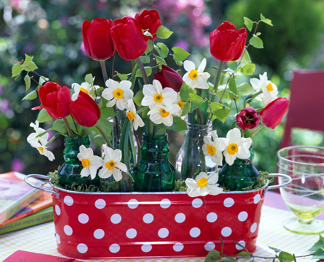 Tulipa (Tulpen) und Narcissus (Narzissen) in kleinen grünen Flaschen