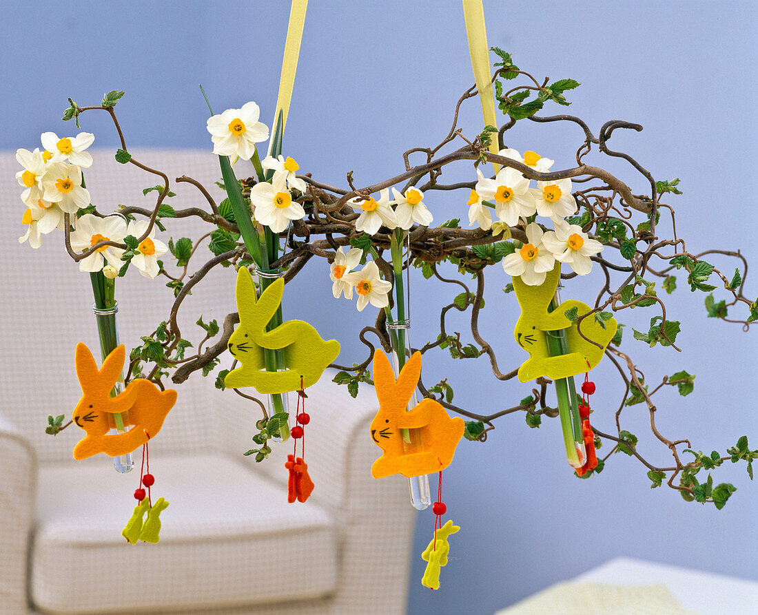 Narcissus in florist tube with felt bunnies on Corylus branch