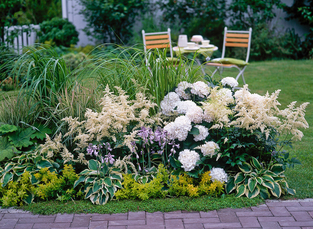 White bed with astilbe, hydrangea