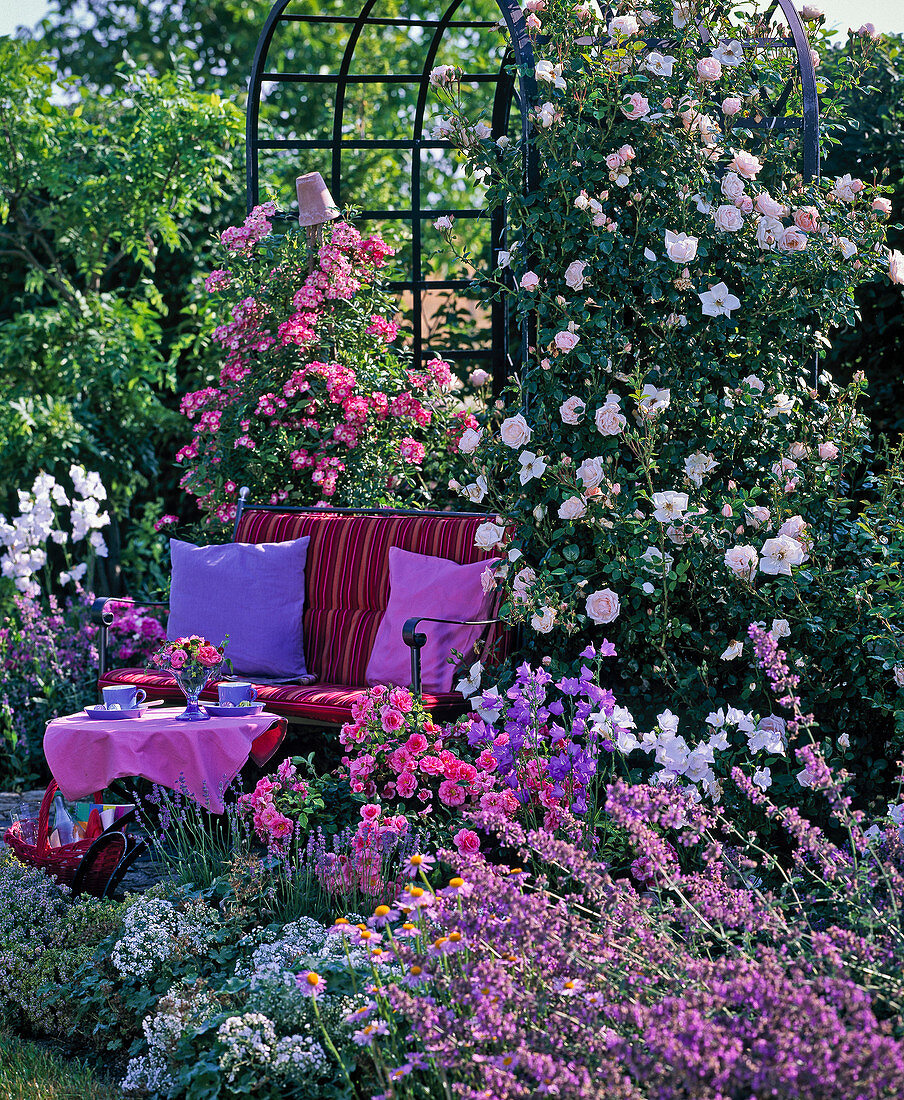 Garden bench in front of rose arbor