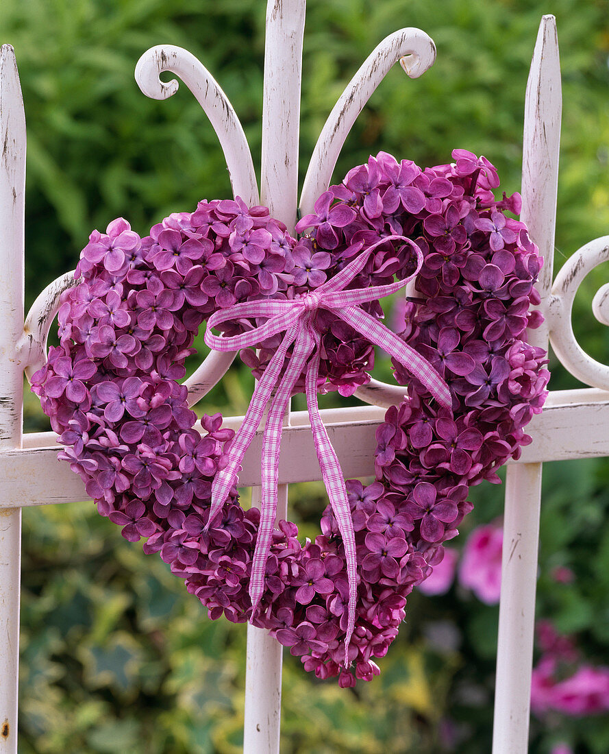 Herz aus violettem Syringa (Flieder) an weißem Metallzaun