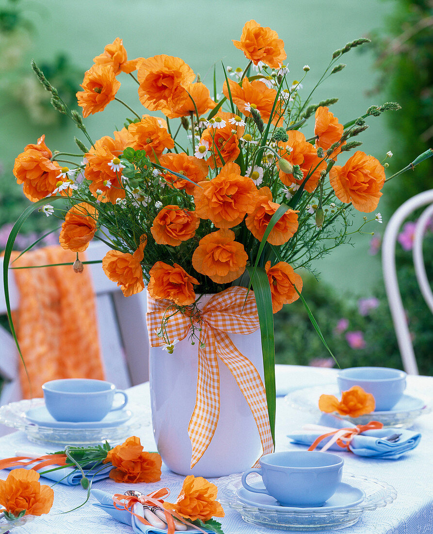 Strauß aus orangem Papaver rupifragum (Spanischem Mohn), Matricaria