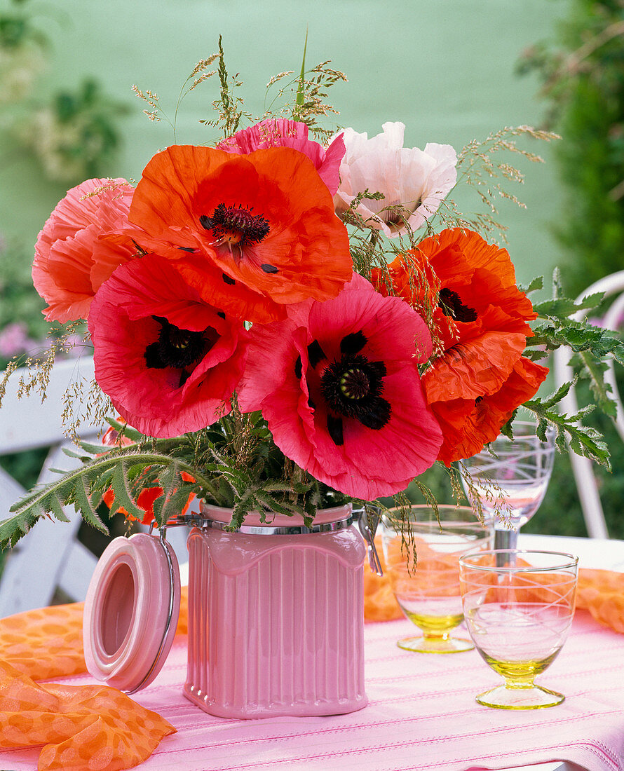 Papaver (poppies) bouquet in pink porcelain box, cloth, glasses
