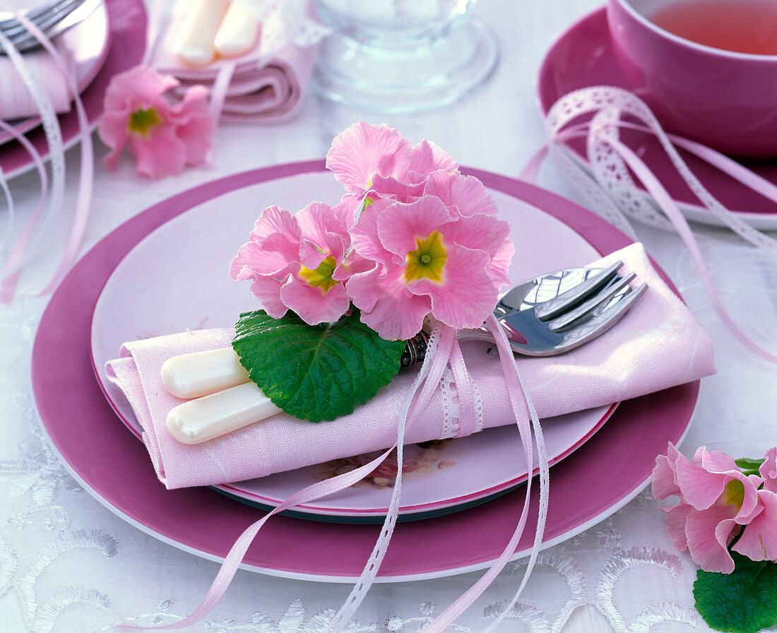 Primula (Frühlingsprimel) auf rosa Serviette mit Besteck, Dessertteller