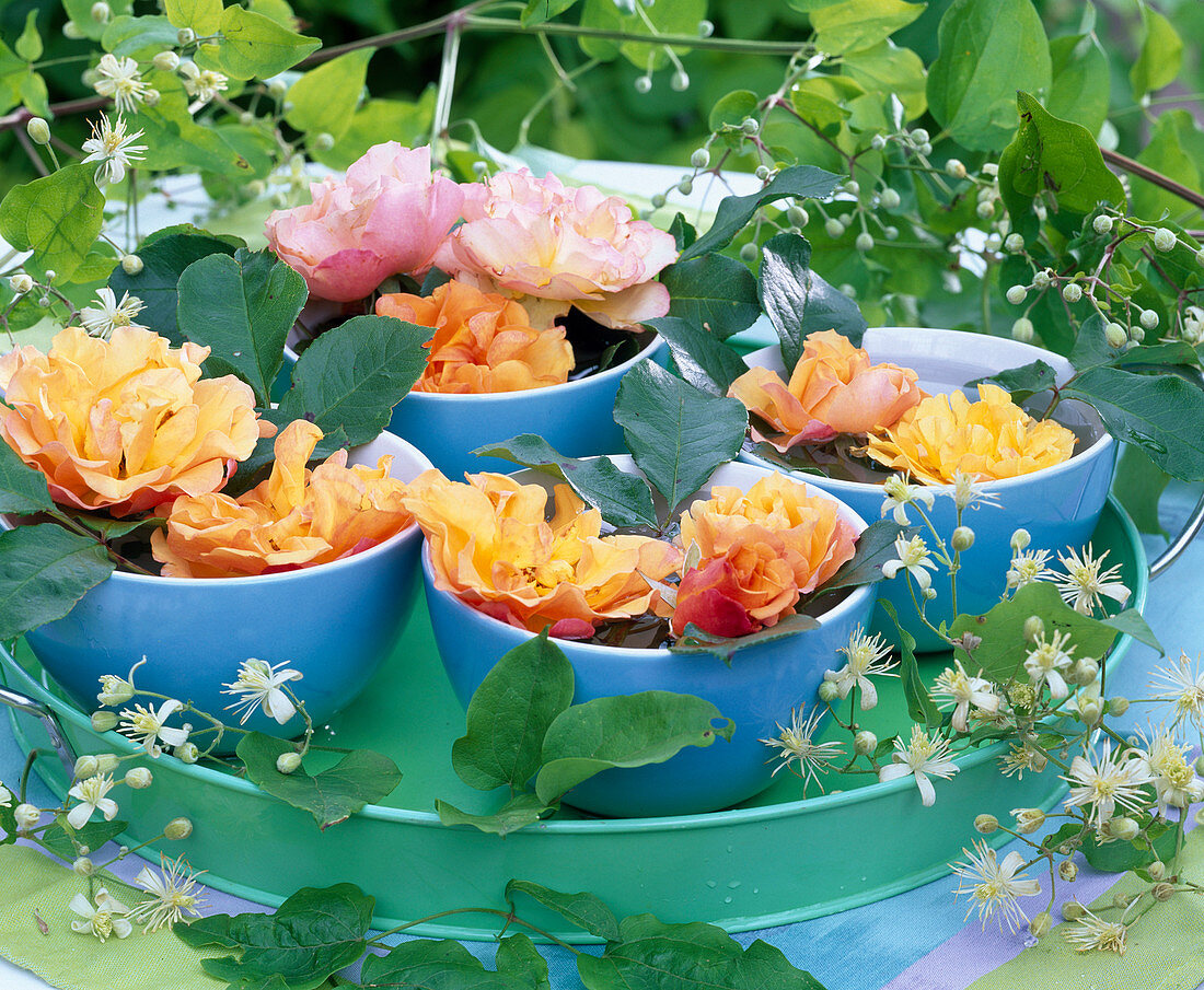 Rose flowers in bowl on tray, clematis tendril