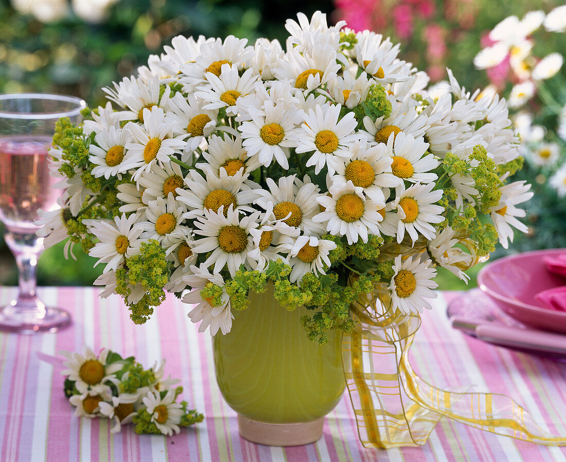 Strauß aus Leucanthemum (Margeriten) und Alchemilla (Frauenmantel)