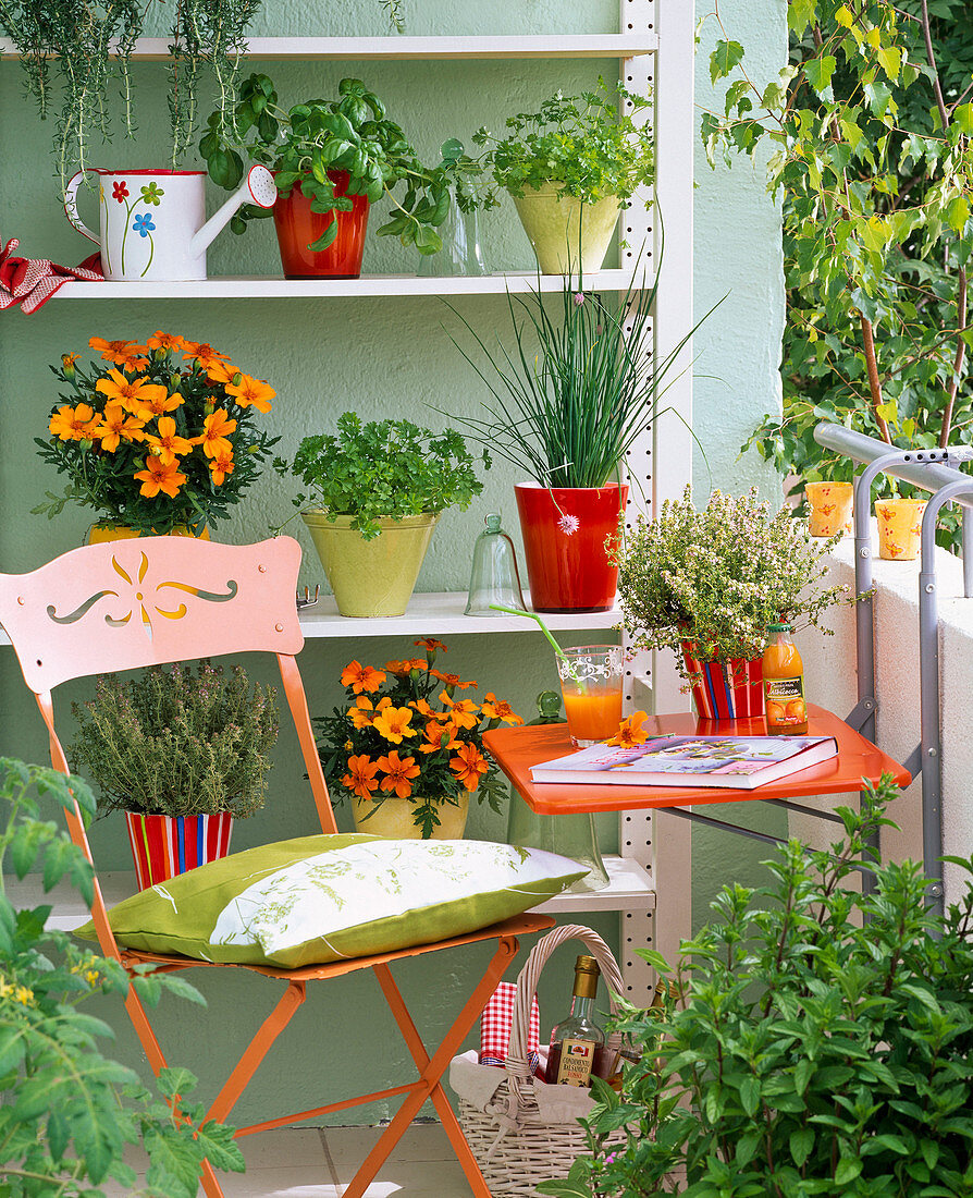 Small balcony with herbs on the shelf