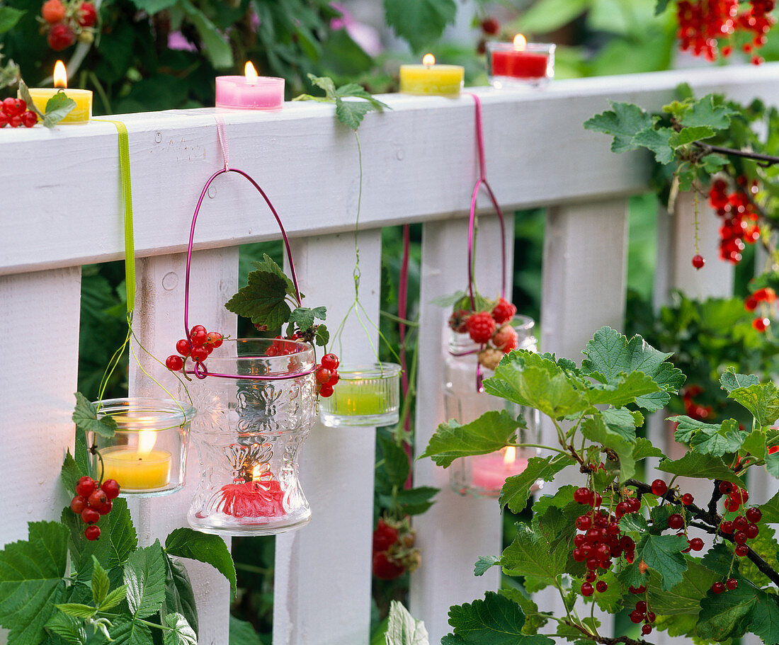 Lanterns with ribes and colorful tealights at fence