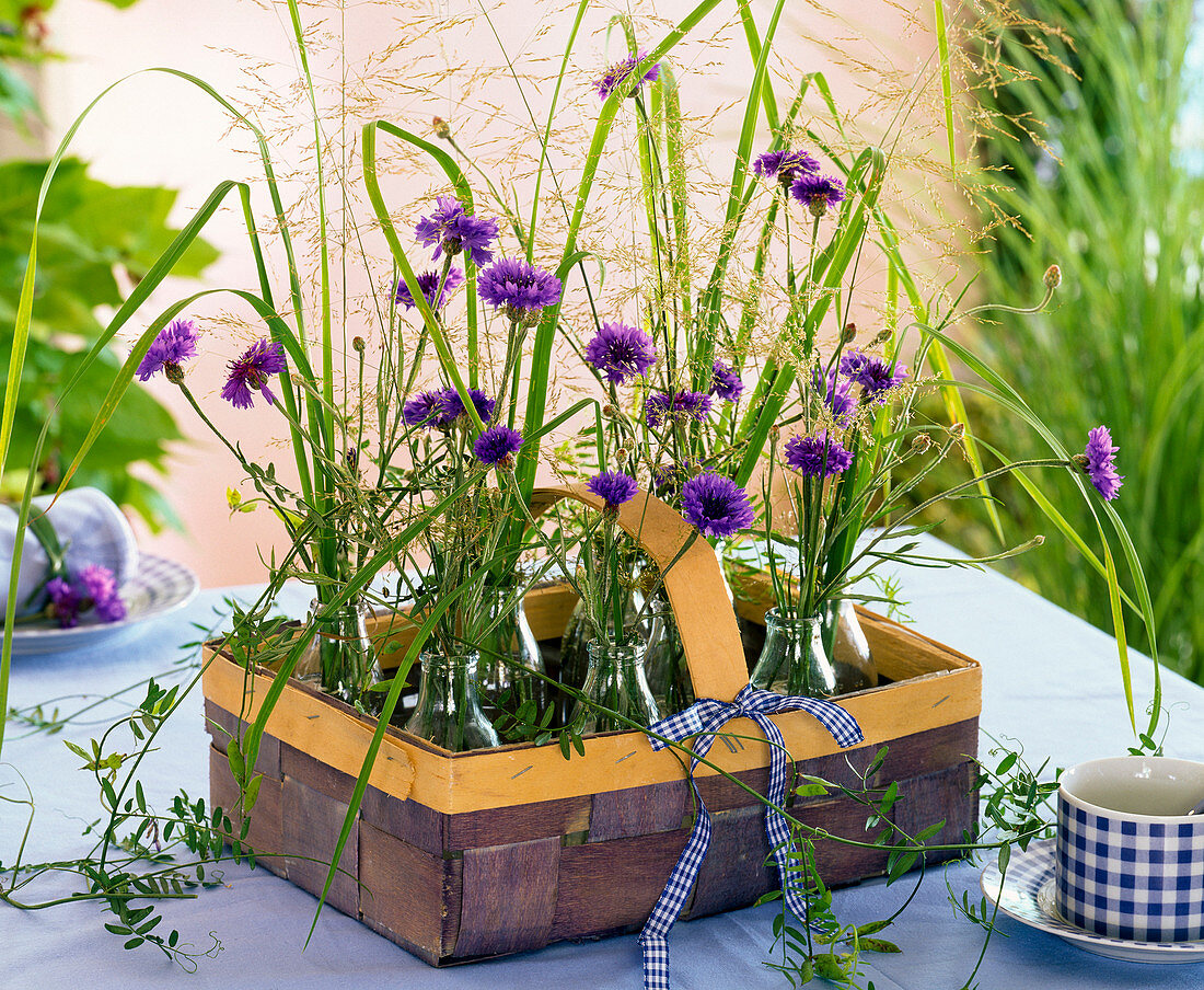 Kleine Sträuße aus Centaurea (Kornblumen), Agrostis (Straußgras)