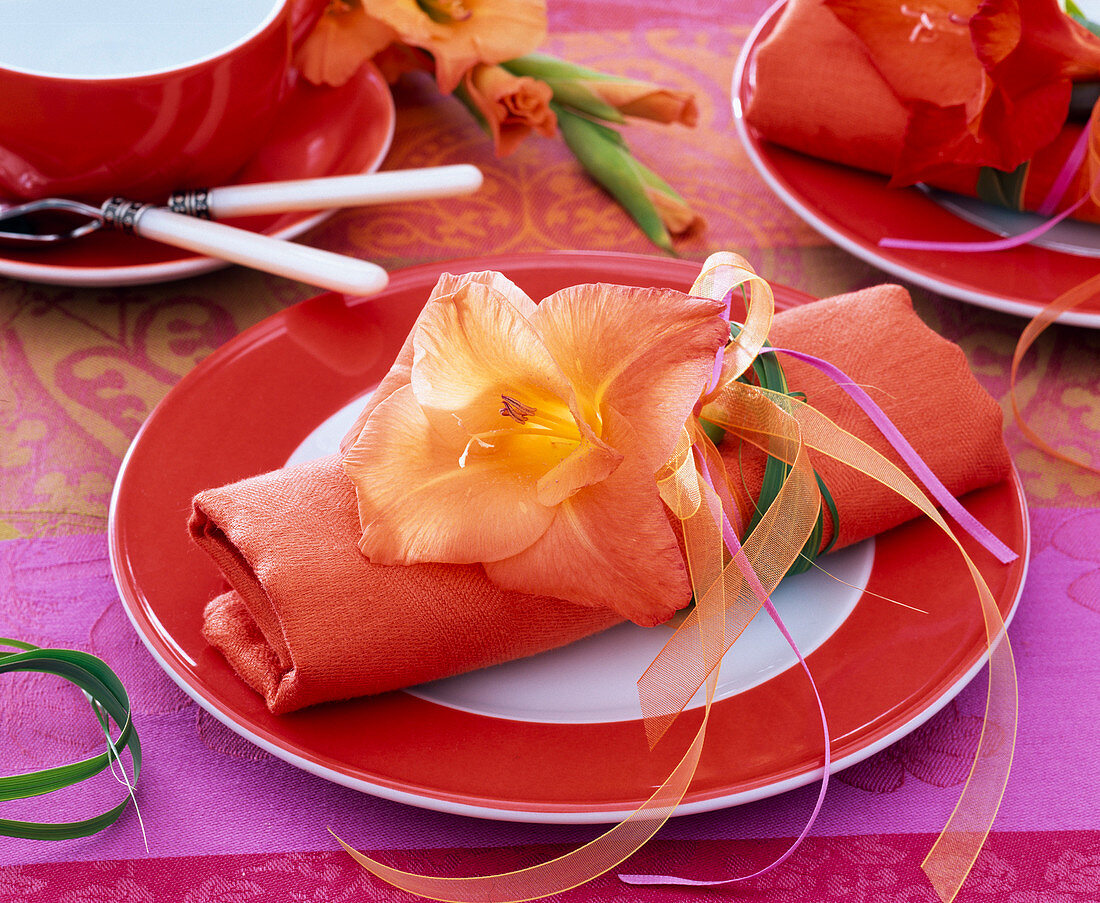 Blossom of gladiolus (gladiolus) on napkin, ribbons