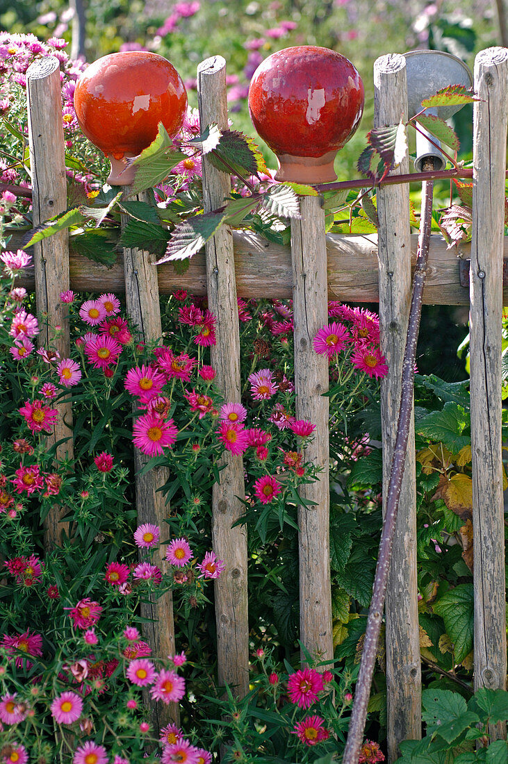 Gartenkugeln aus glasiertem Terrakotta auf Holzzaun