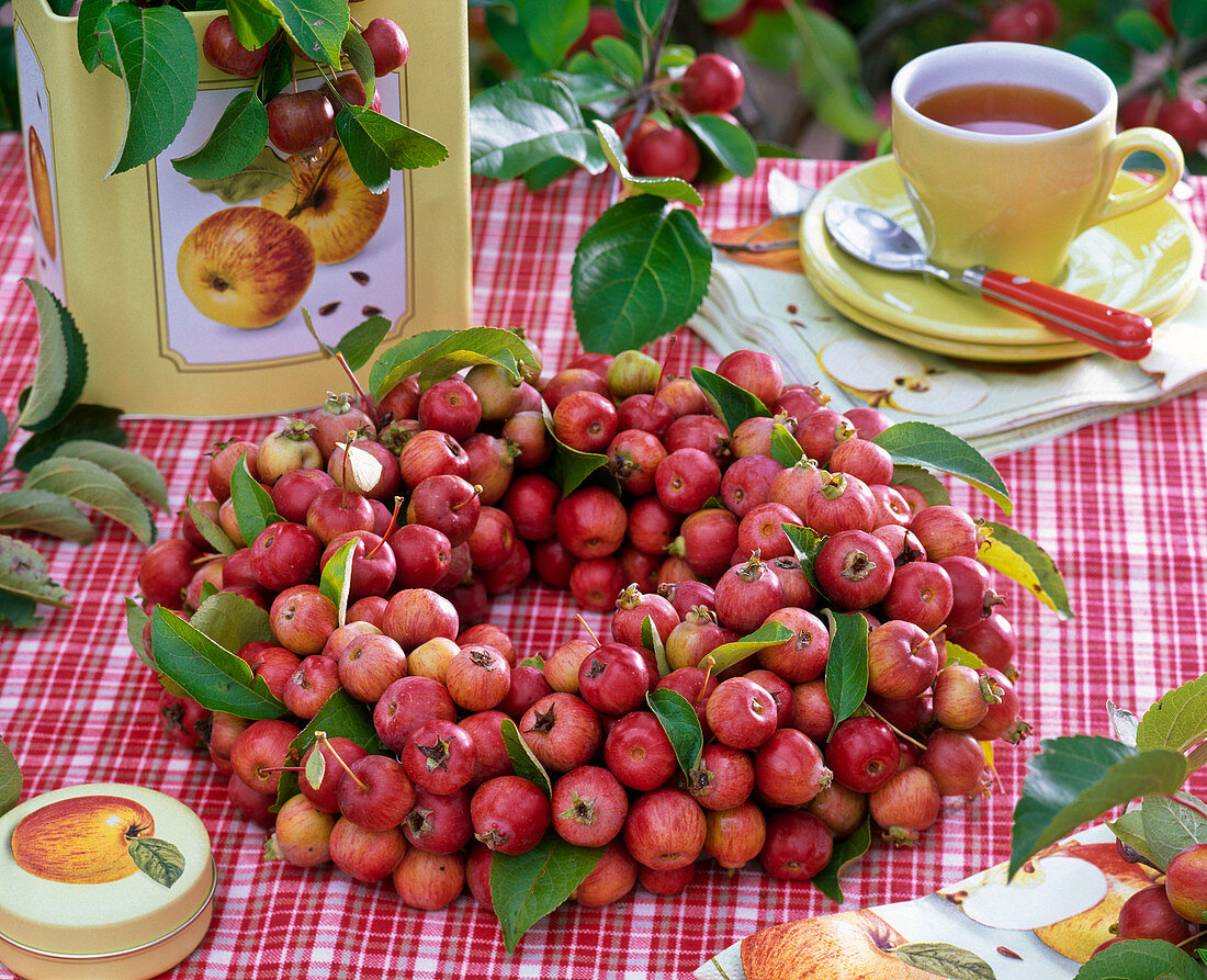 Kranz aus Malus (Zieräpfeln), Tasse mit Tee, Dose