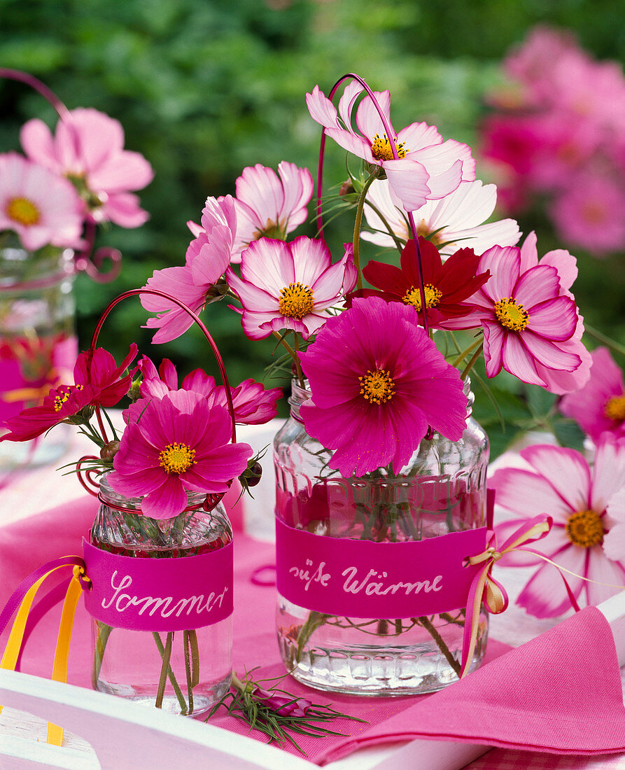 Cosmos in glass vases with 'summer', 'sweet heat' signs