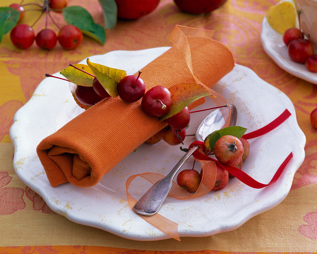 Threaded malus, fruits and leaves around rolled napkin