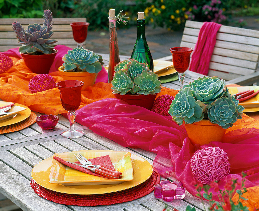 Tischdeko mit Echeveria, Tischläufer in orange und pink