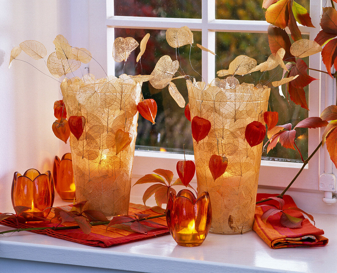 Lanterns with skeletal leaves, and physalis on the windowsill