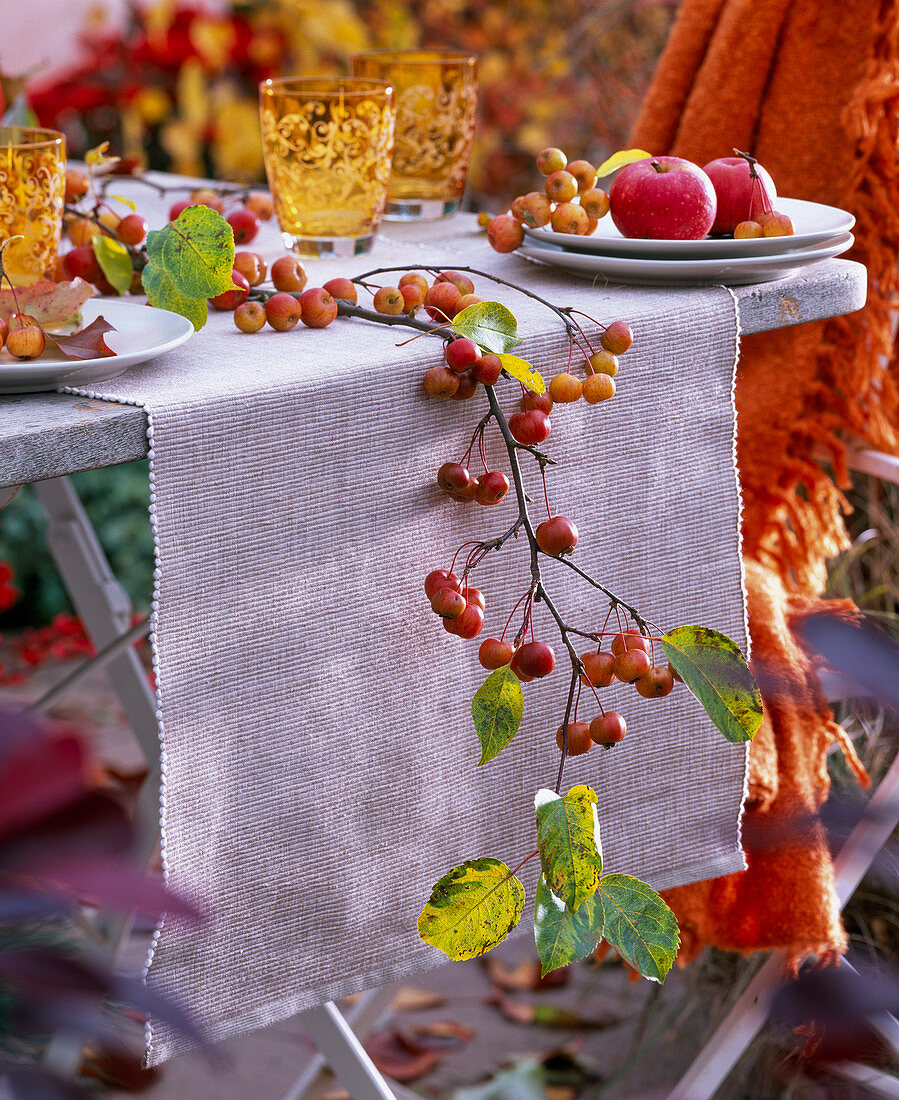 Malus branch with fruits and leaves as table garland