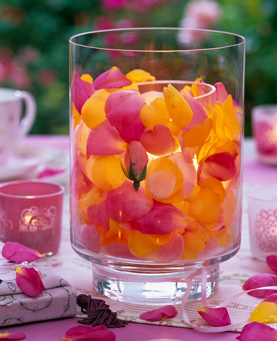 Lantern with petals of pink (rose) in interspace