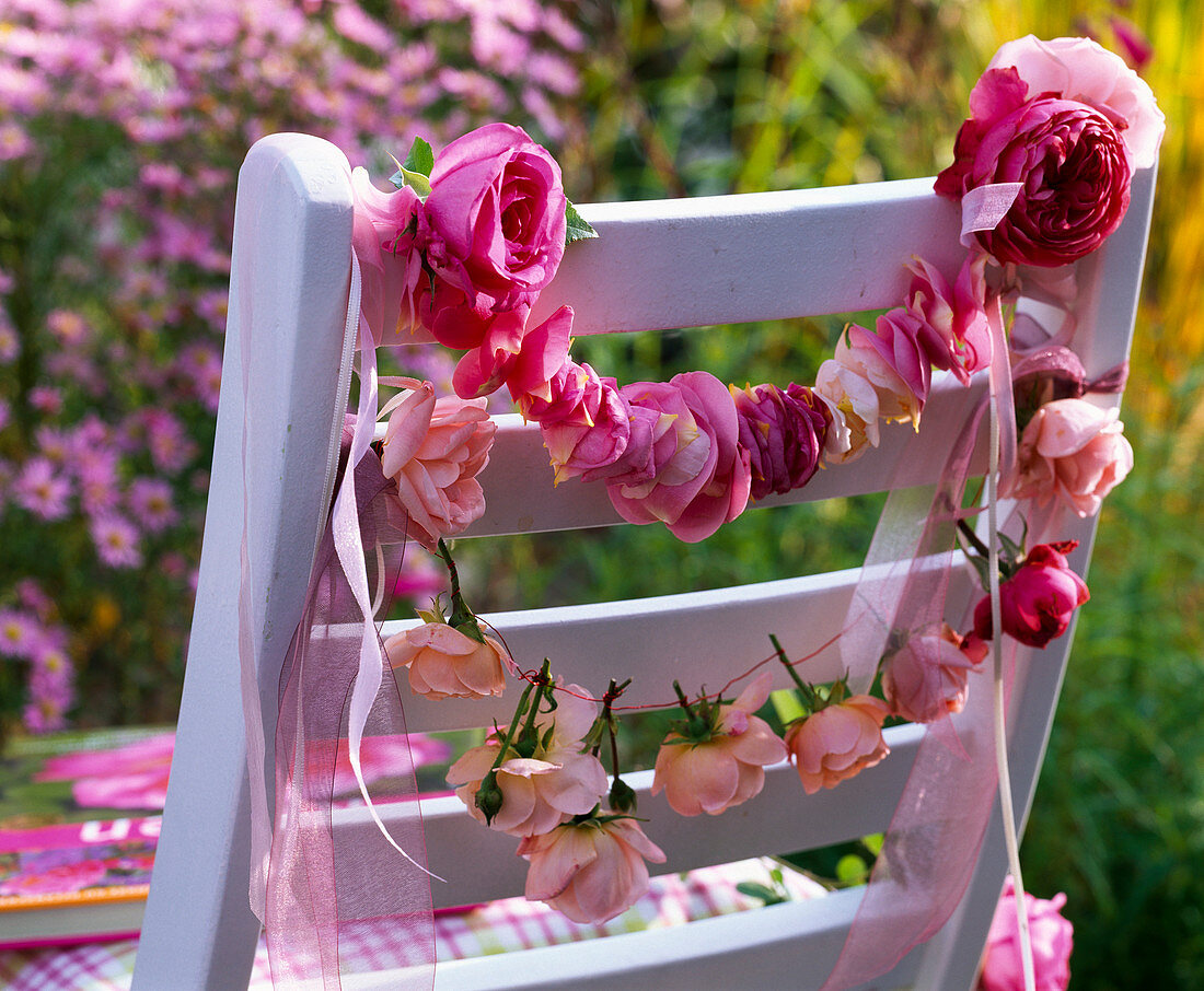 Pink (rose), petals and flowers threaded to the back of the chair