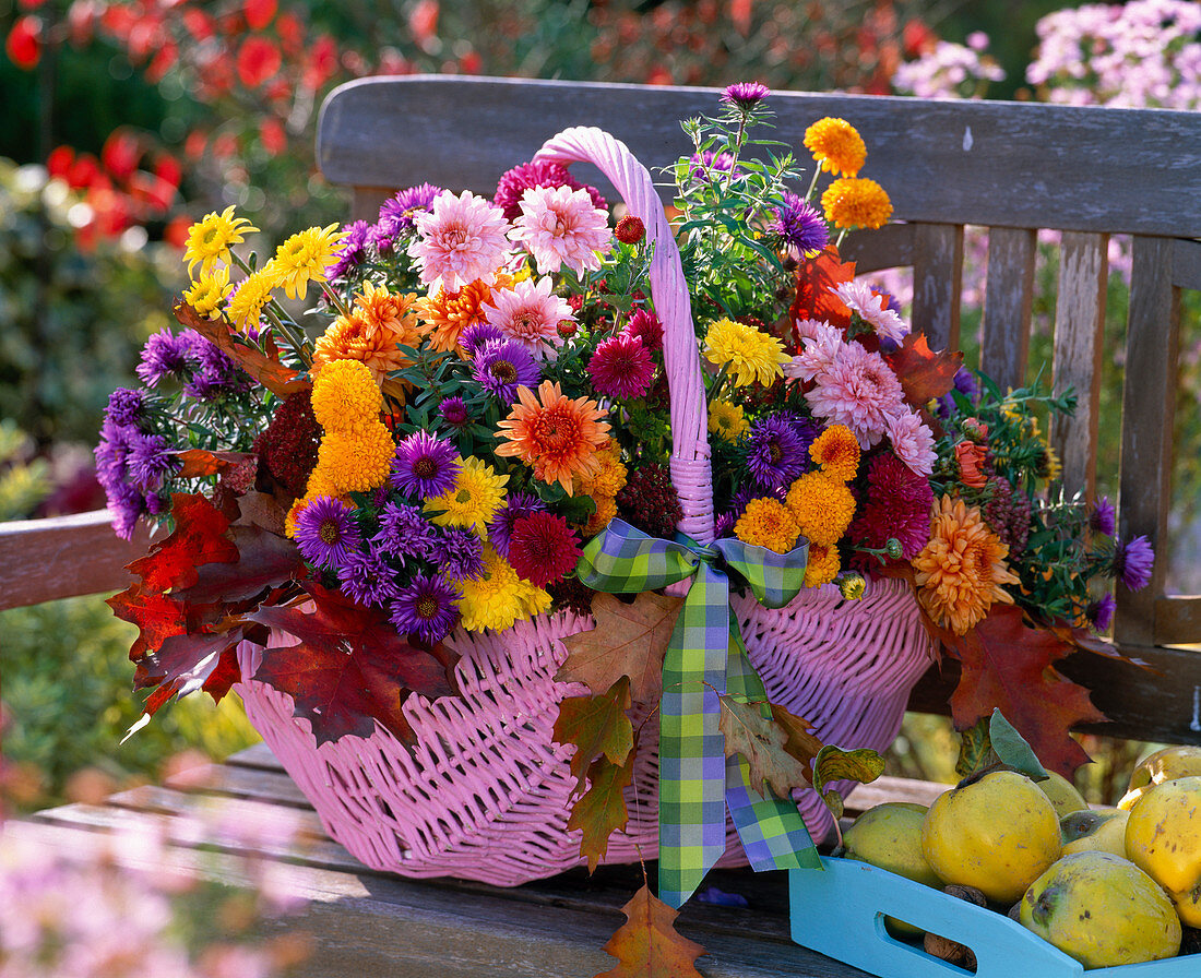 Strauß aus Chrysanthemum (Herbstchrysanthemen), Aster (Herbstastern)