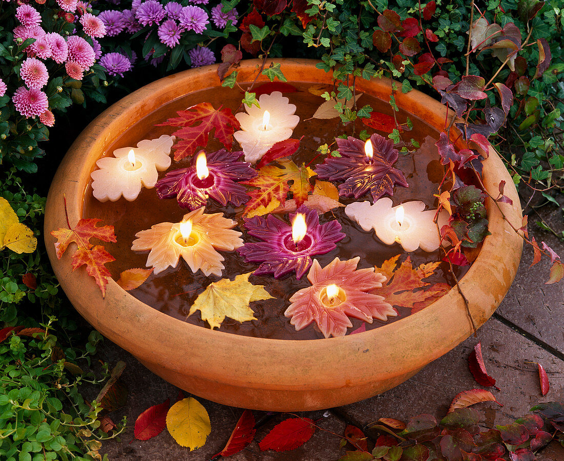 Leaf-shaped floating candles in bowl with water and autumn Acer leaves