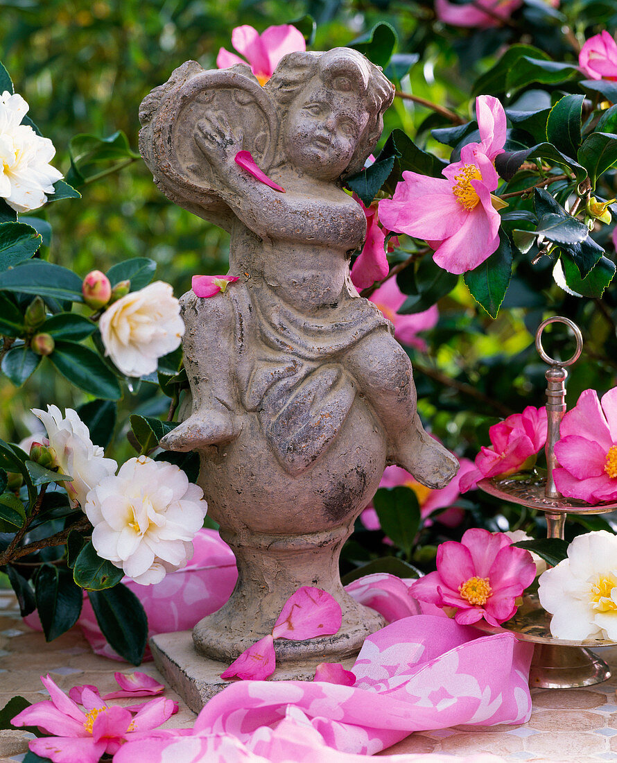 Camellia (Camellia) and tambourinspielende stone figure