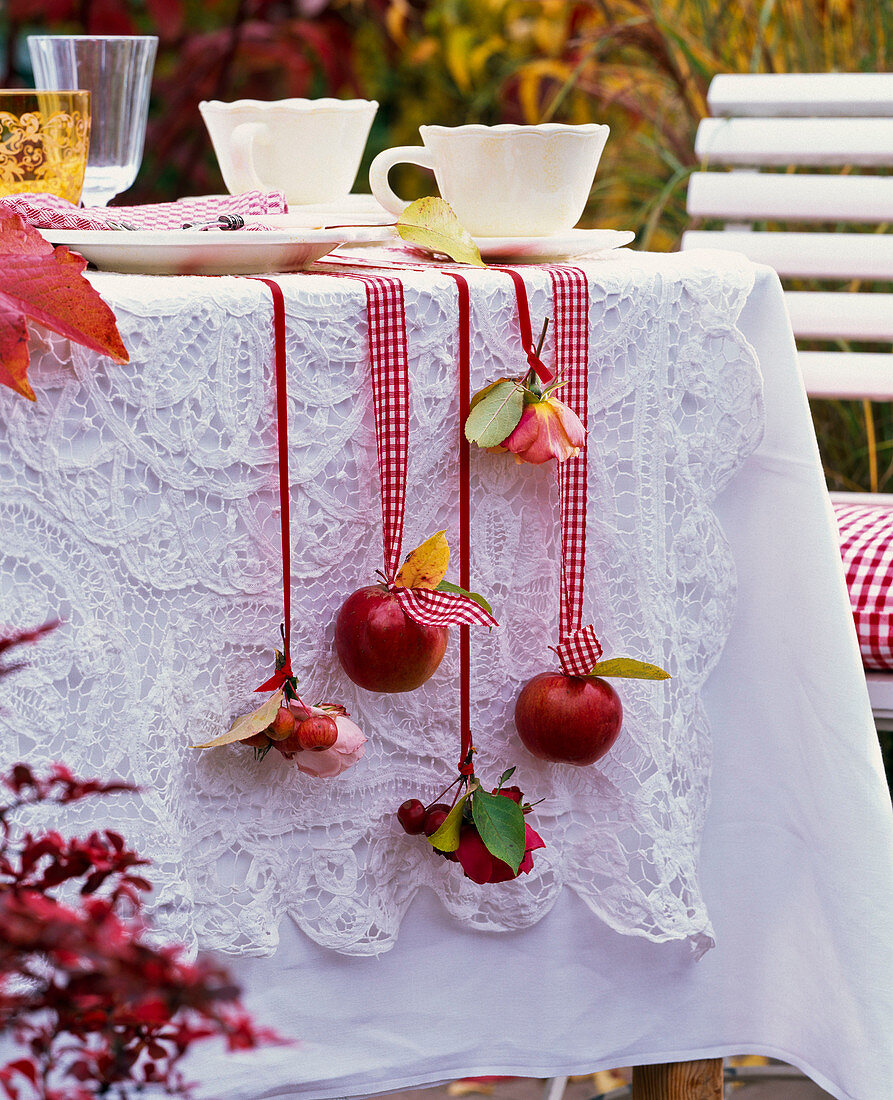 Malus (Äpfel, Zieräpfel), Rosa (Rosen), Herbstlaub seitlich am Tisch