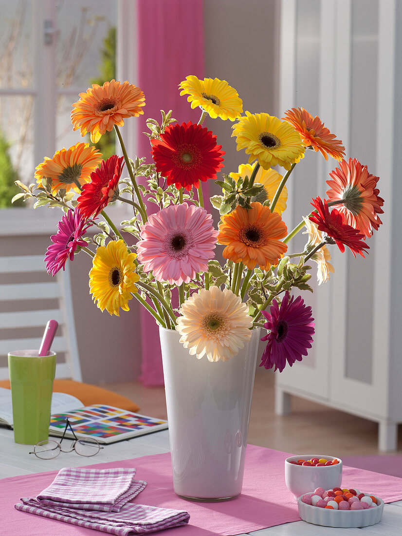 Strauß aus Gerbera und Pittosporum (Klebsame)